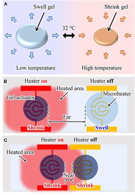 Light-Driven Hydrogel Microactuators for On-Chip Cell Manipulations